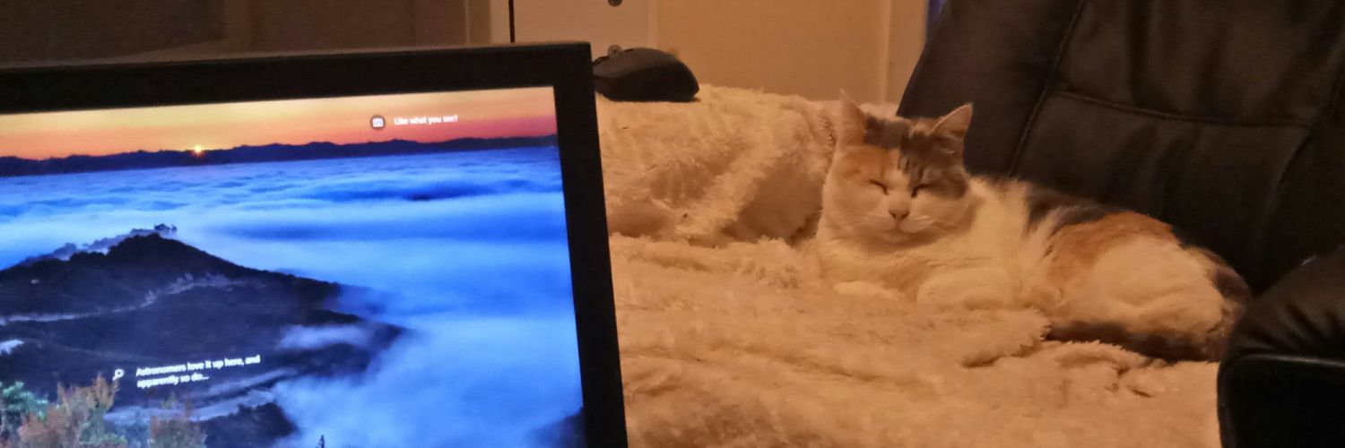 crazelcat's profile banner image