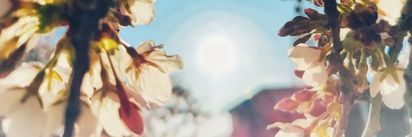 sakraem Profile Banner