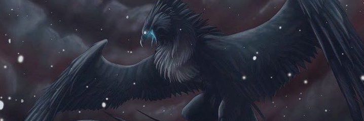 ShadowFenixVT's profile banner image