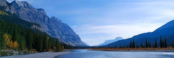 NuggetsorBust Profile Banner