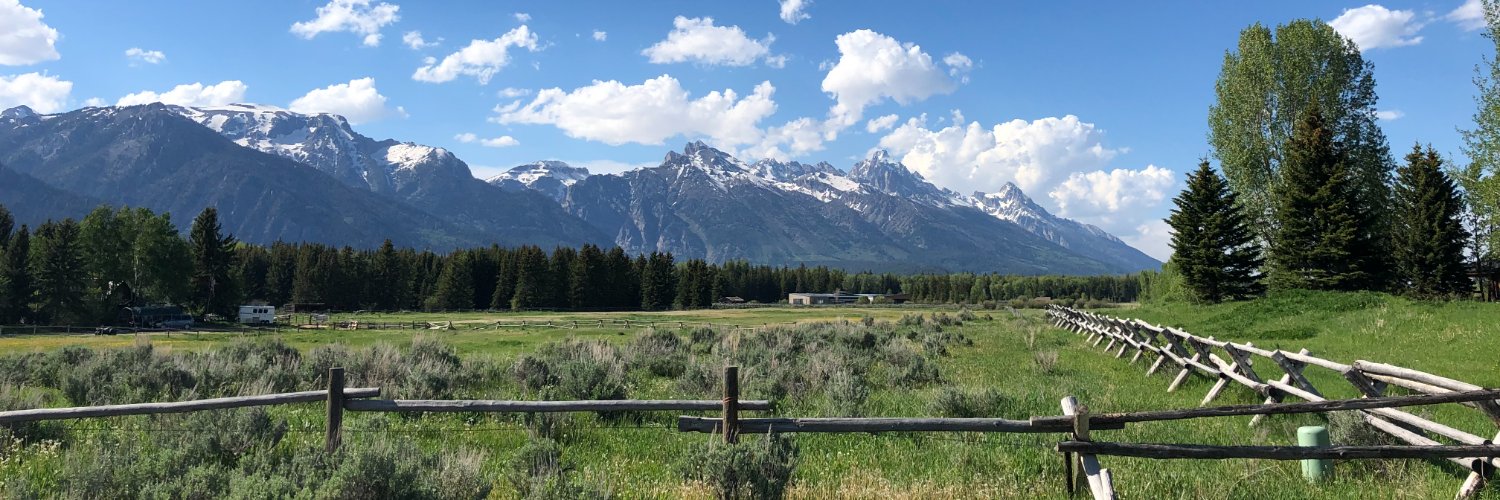 Michael Dearing banner