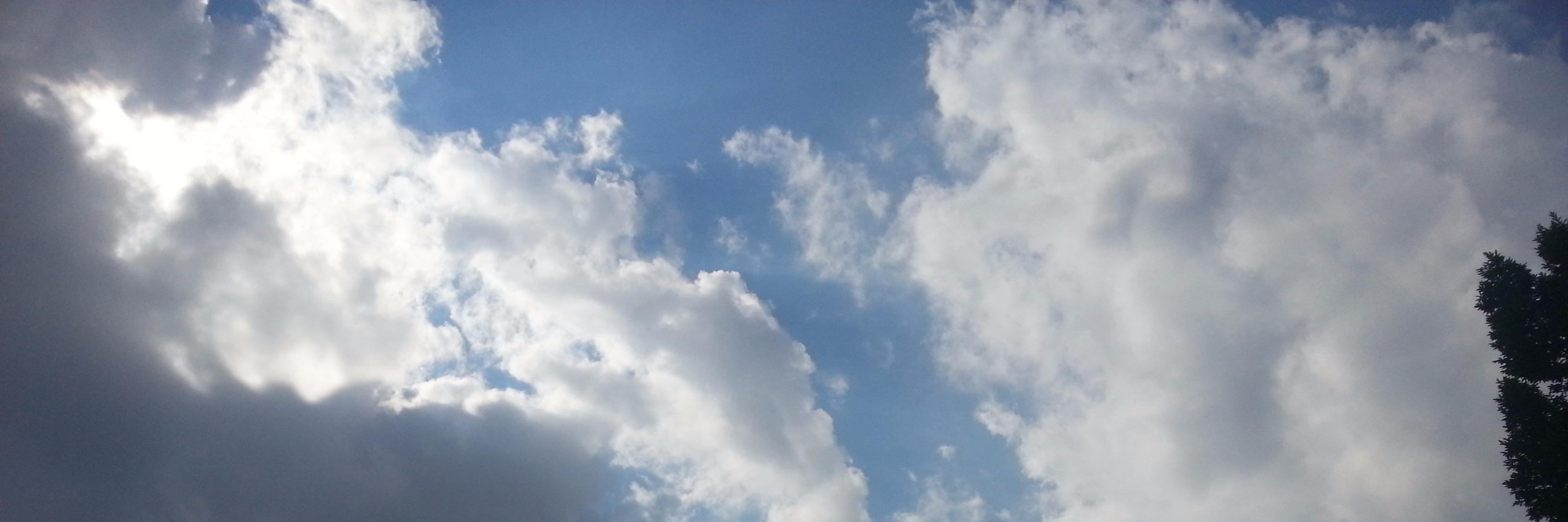 Marie_Jayli's profile banner image