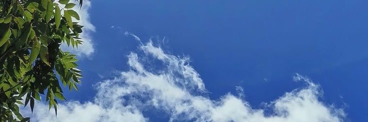 letydomkt's profile banner image