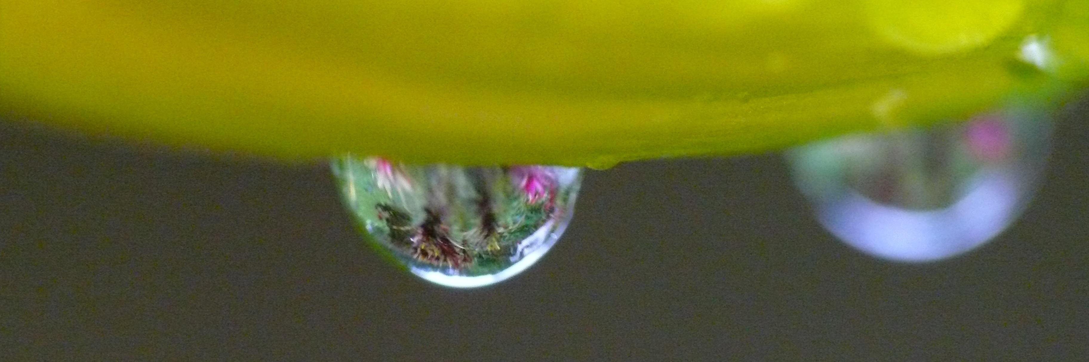 Antonio Arroyave banner