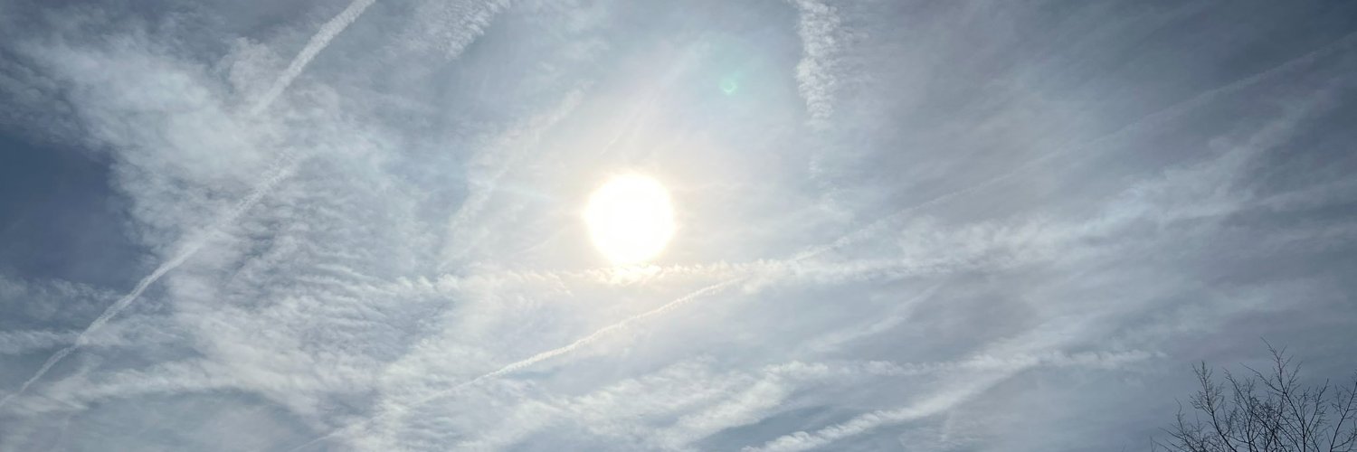 Carmine De Vito banner