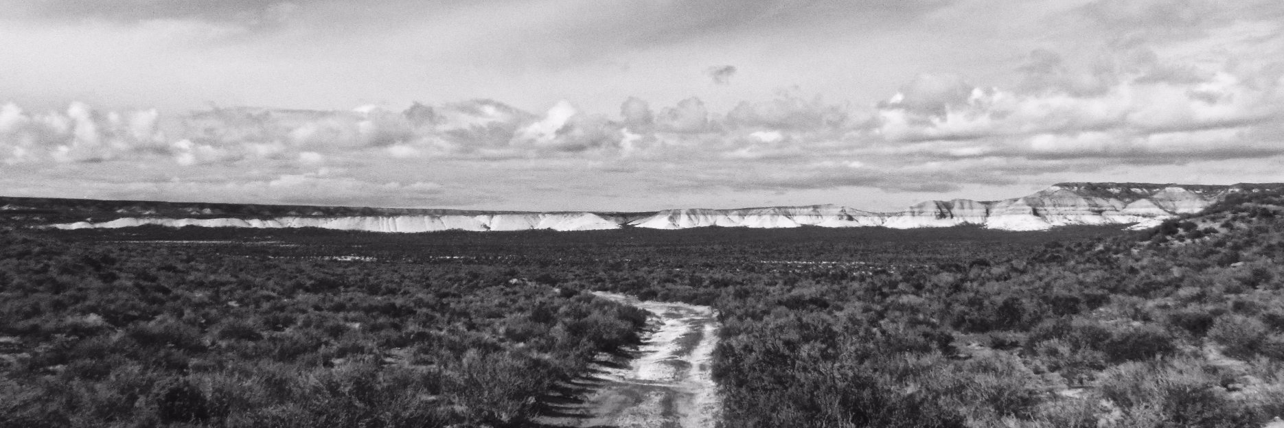 Ari Ephraim Feldman banner