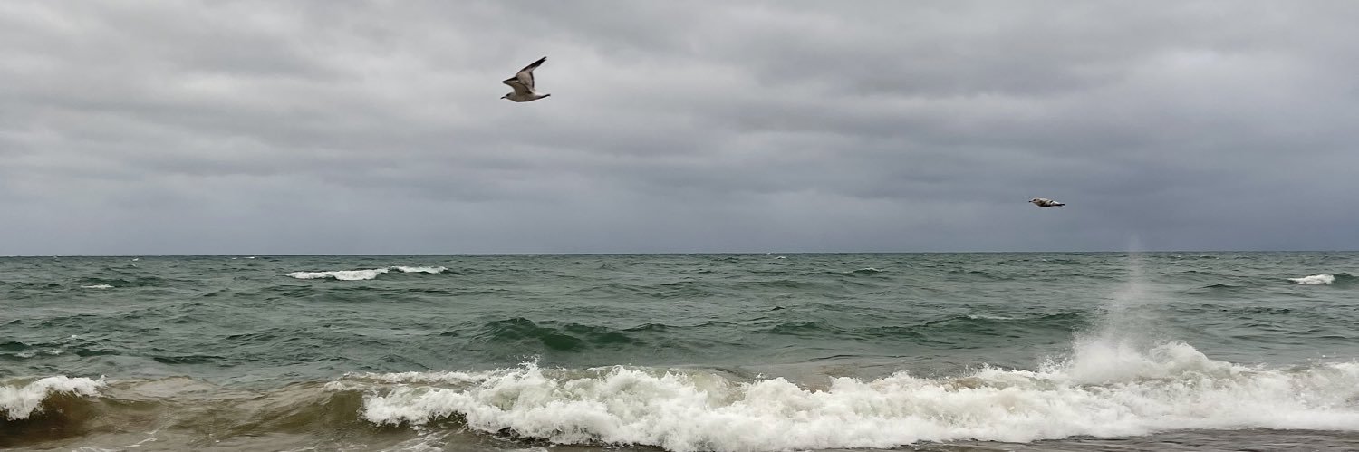 SimacMaddie's profile banner image