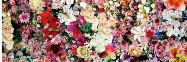 ritapeker Profile Banner