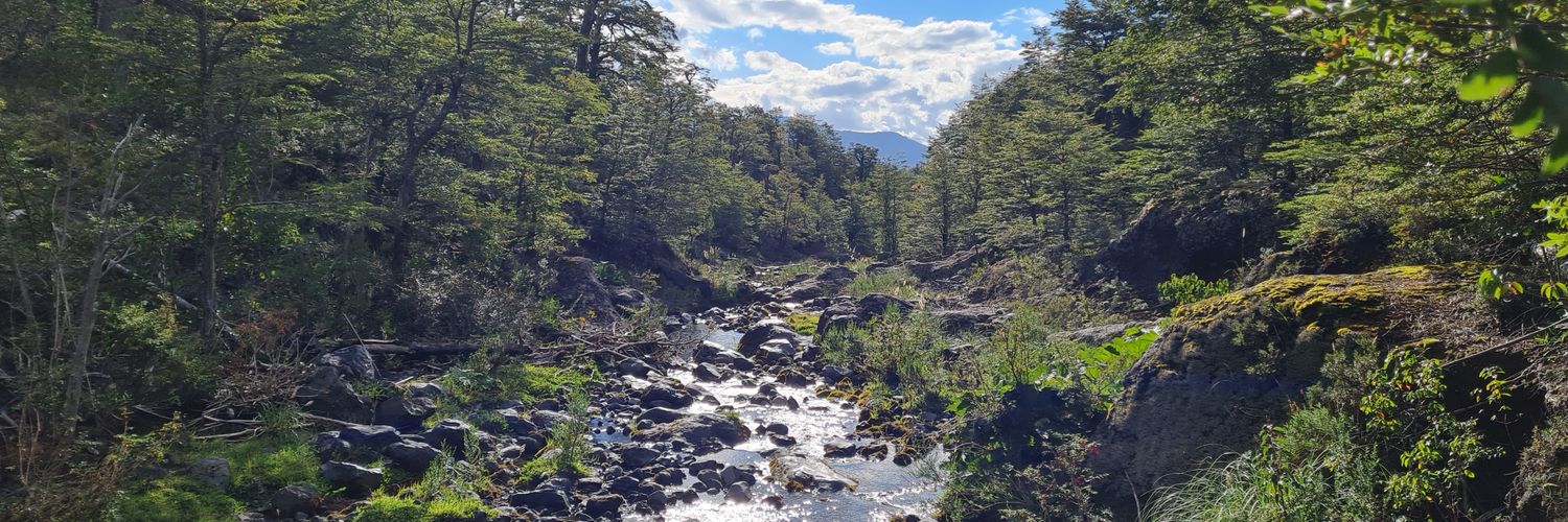 José Vera Iturra 🇨🇱🌲🗻🌿🐺 banner