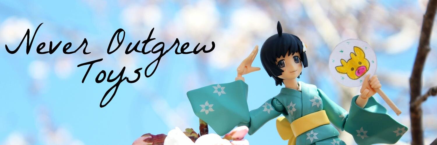 NeverOutgrewToy's profile banner image