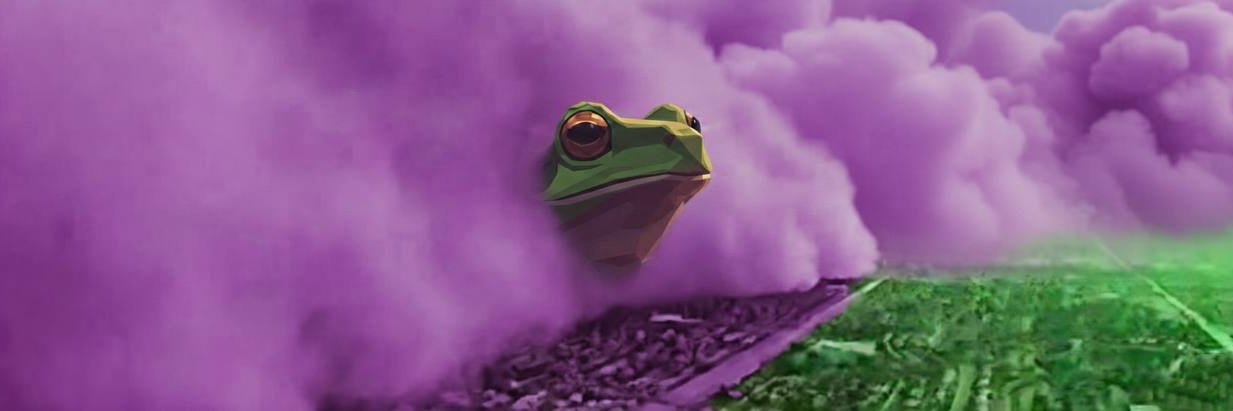 frogsensei亚洲青蛙 banner