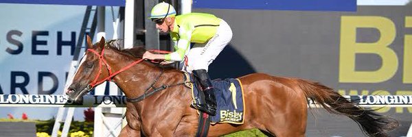 PrideRacing Profile Banner