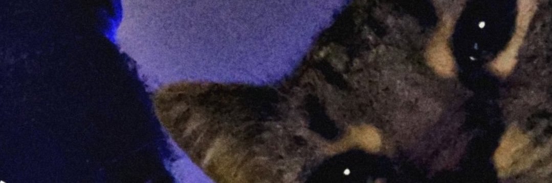 Valdez🪬 banner
