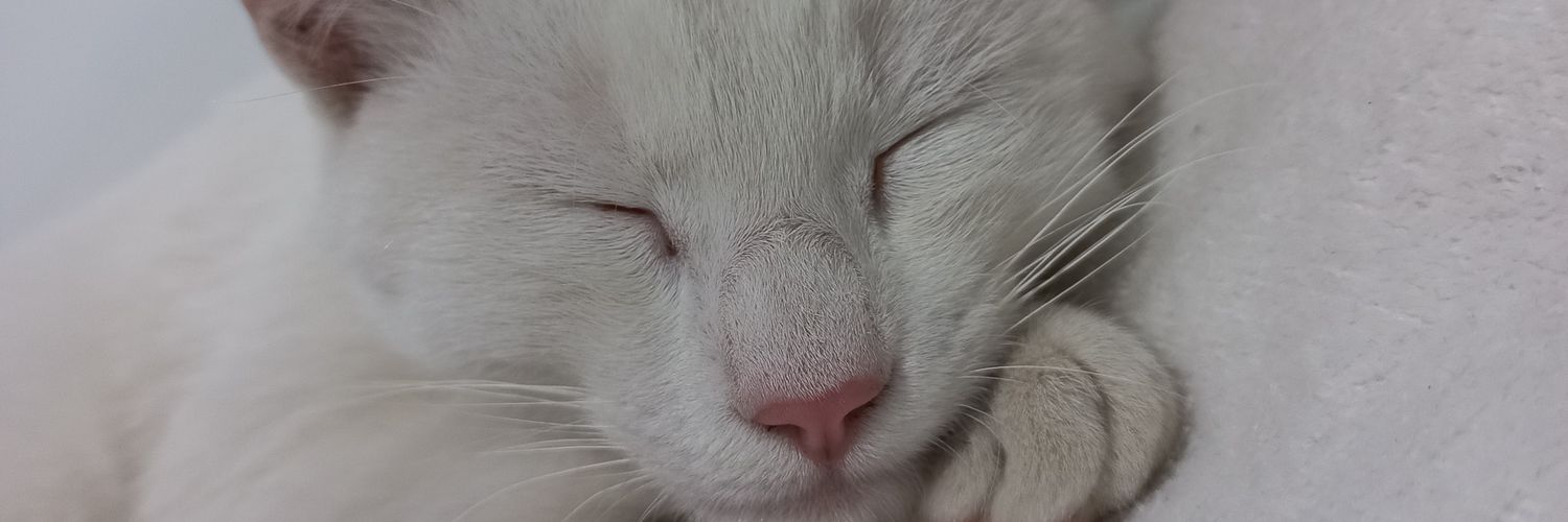 Albi3Xd's profile banner image