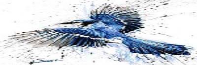 JudithannShaw's profile banner image