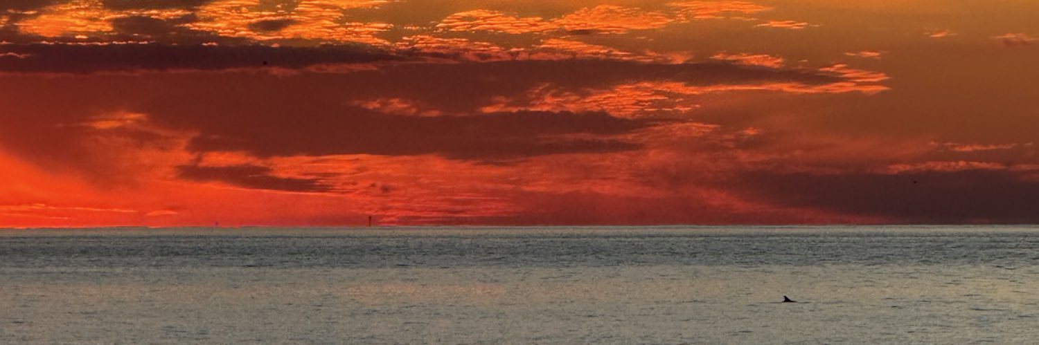 prplshh's profile banner image