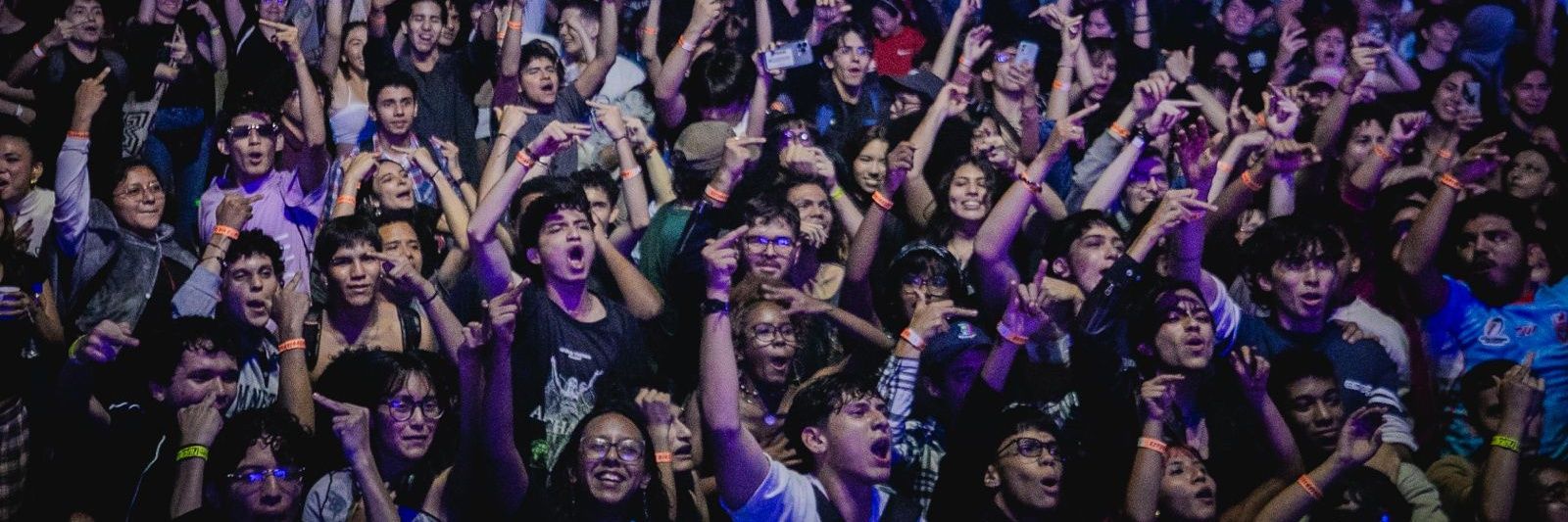 FiuraCali's profile banner image
