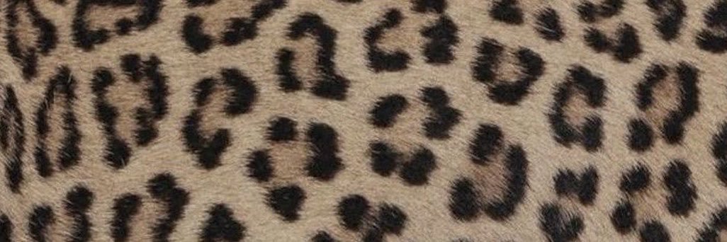 baddiechy's profile banner image