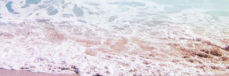 CallieTorresGA's profile banner image