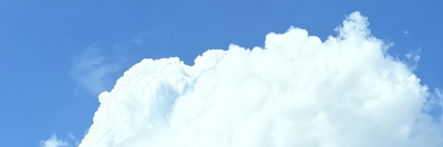 将🍙🍖 banner