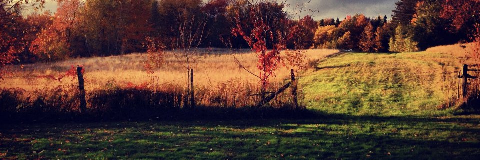 CassRobber's profile banner image