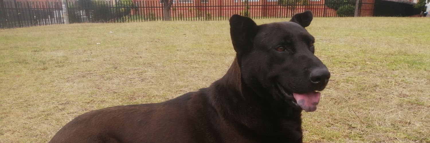 Rivergaaa💔 banner