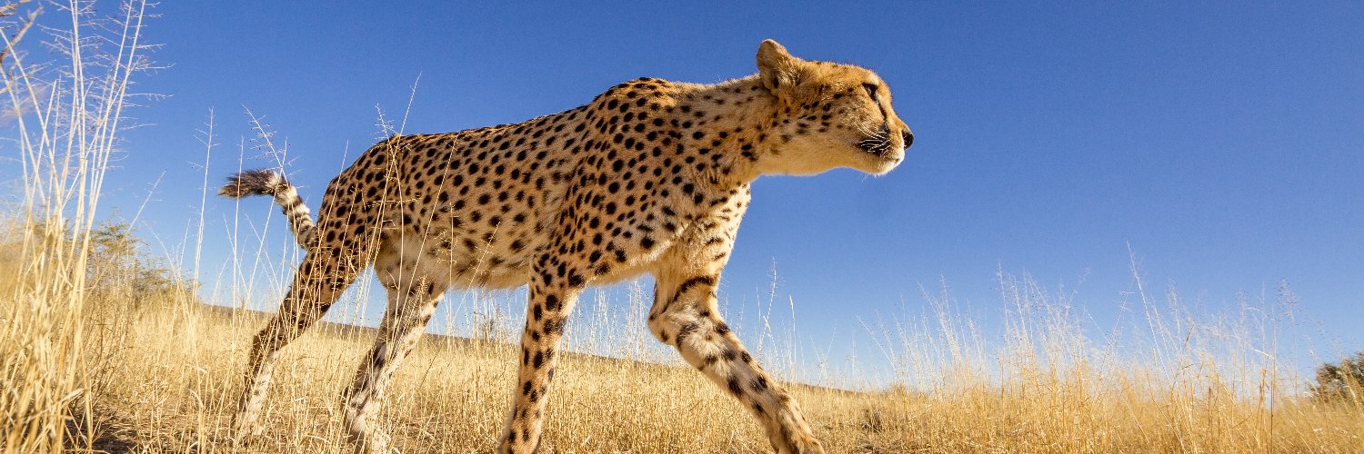 ericpaul89's profile banner image