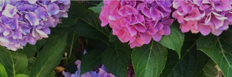 xosare_'s profile banner image