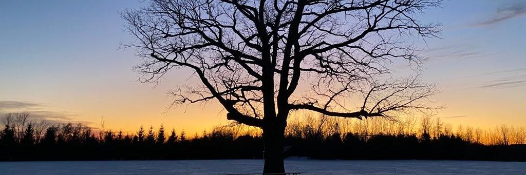 aimeequinlan22's profile banner image