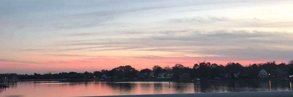 AmyfromVA's profile banner image