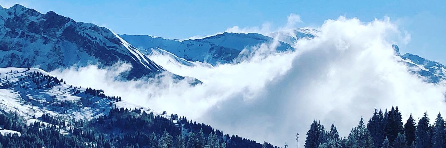 FlorrieBall's profile banner image