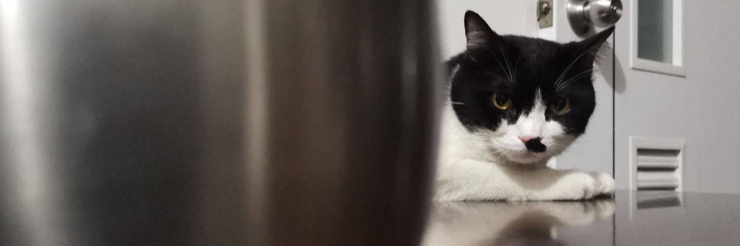 🐻หมีกวิ้น🐧 (🏳️‍🌈 🫸🏻🧠🫷🏻)​ banner