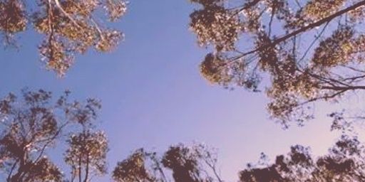 javieraclarke's profile banner image