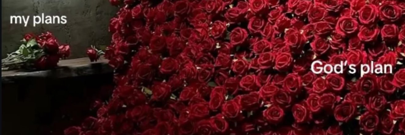 loveshardenay's profile banner image