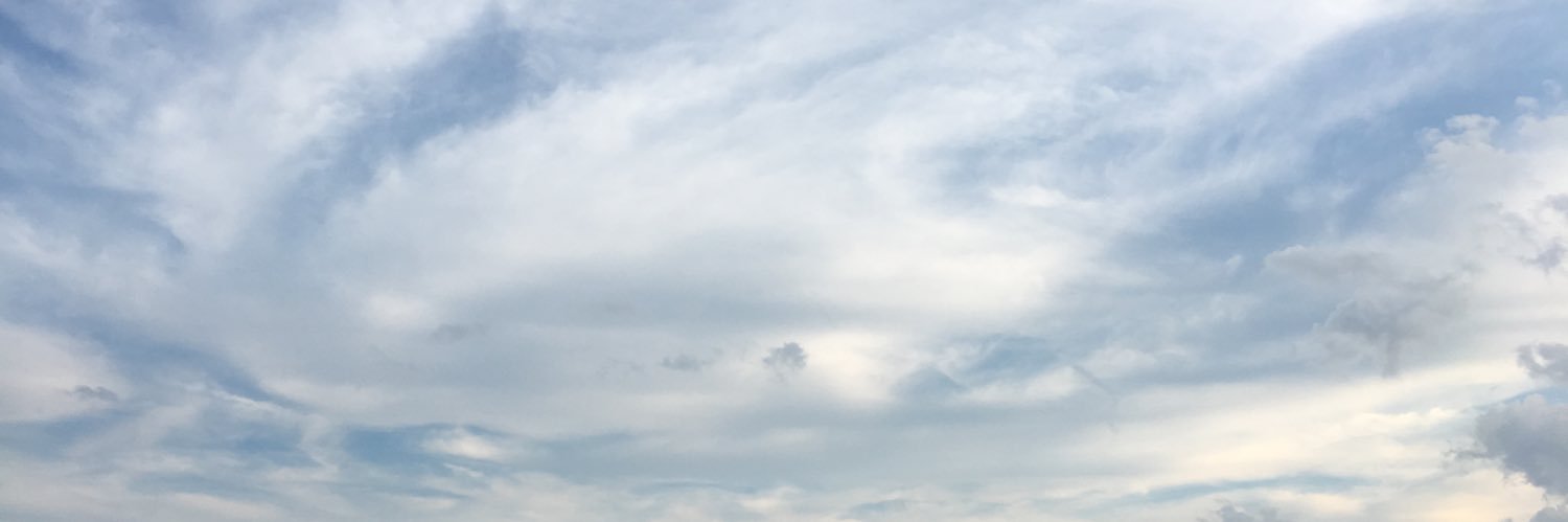 pansyschul's profile banner image
