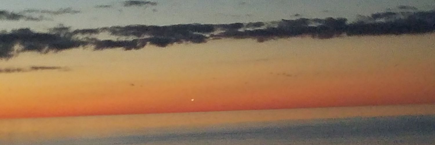 cote_tracy's profile banner image