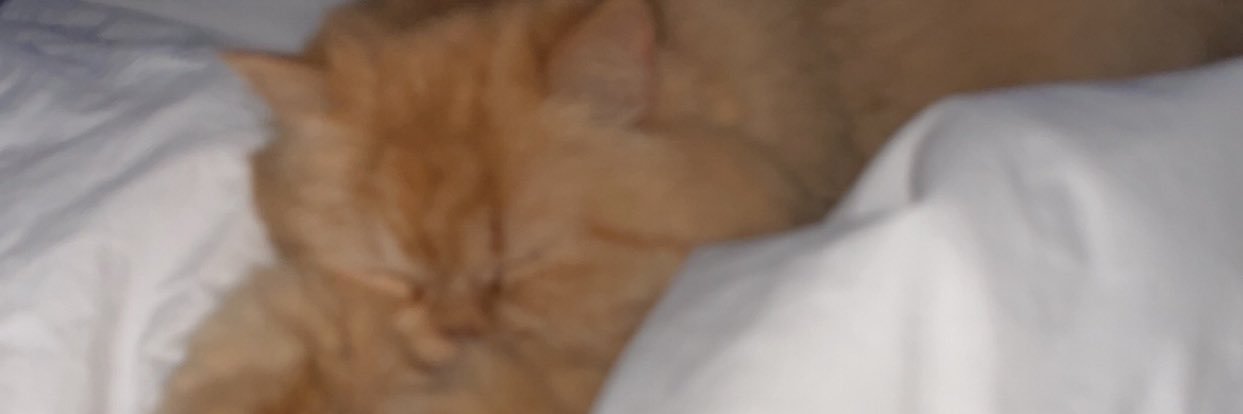 𝙷𝚊𝚢𝚊 banner