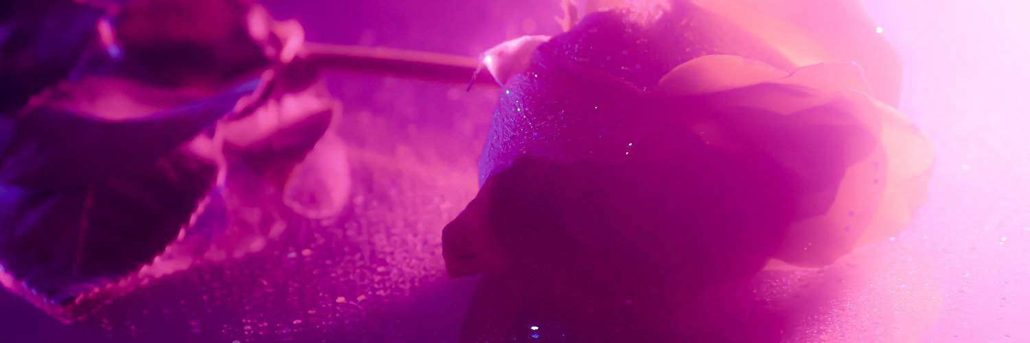 DANvsMONDAYS's profile banner image