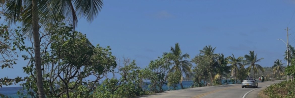 sofiamg2000's profile banner image