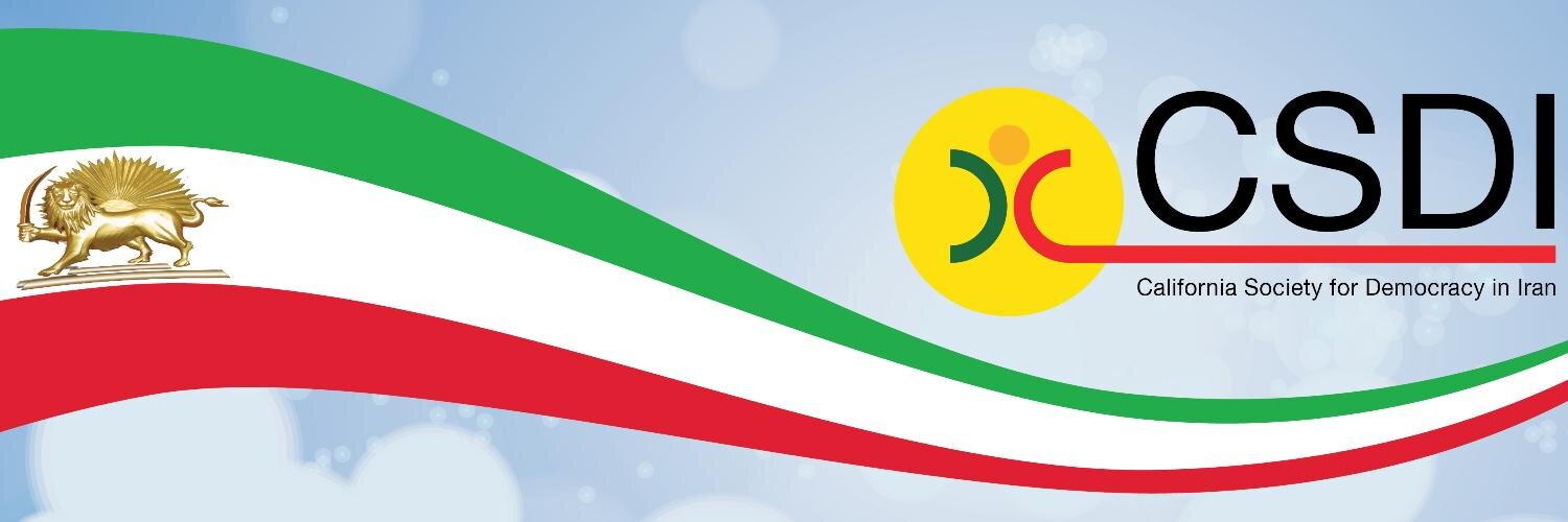 CSDI's banner
