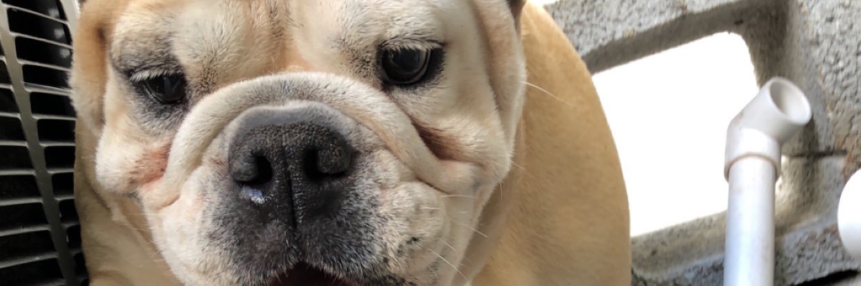 chacoon__'s profile banner image