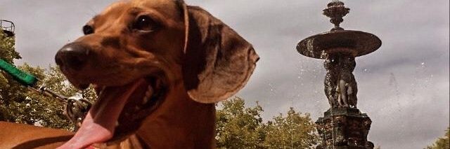 vponce_'s profile banner image