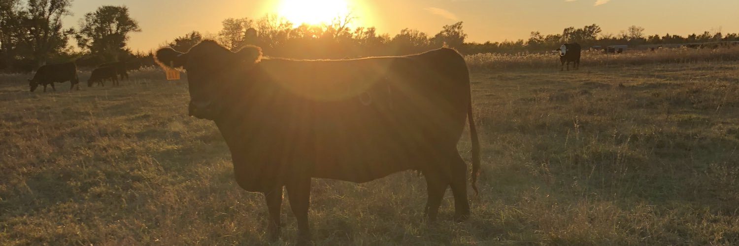 AustinBartelt's profile banner image
