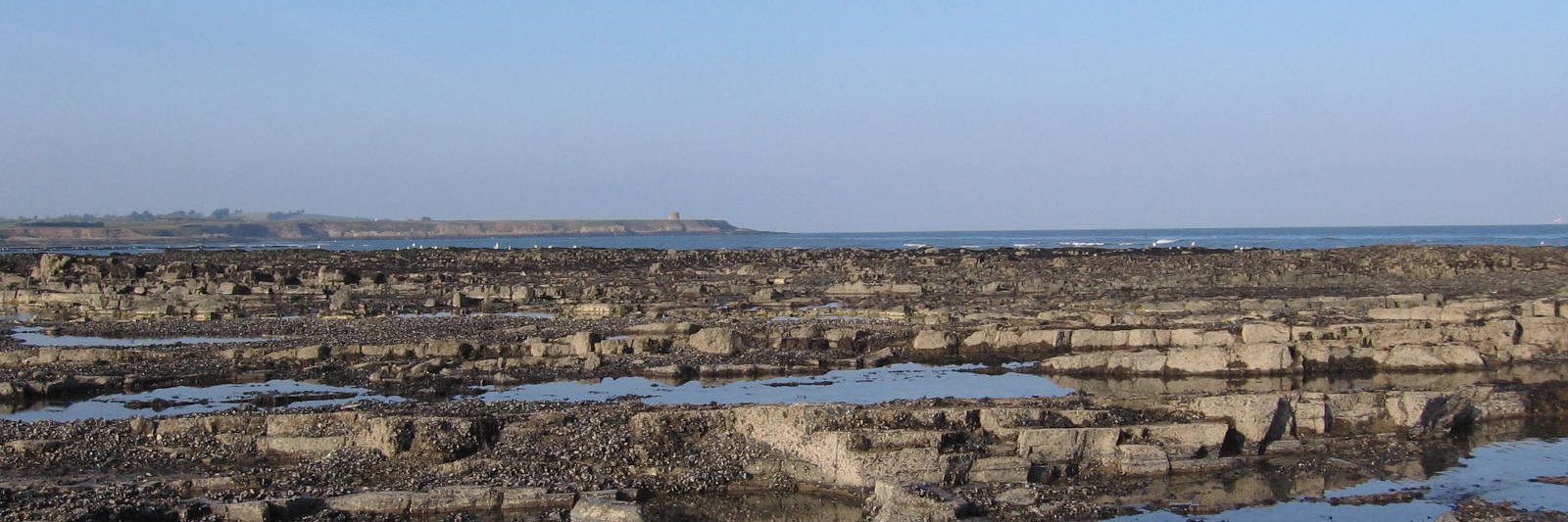 Nessa O'Connor banner