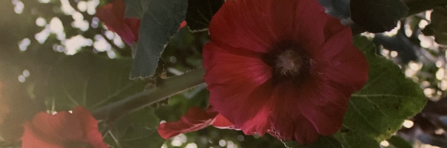 90LesSW's profile banner image