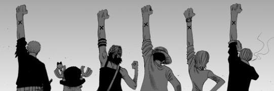 coala_s's profile banner image