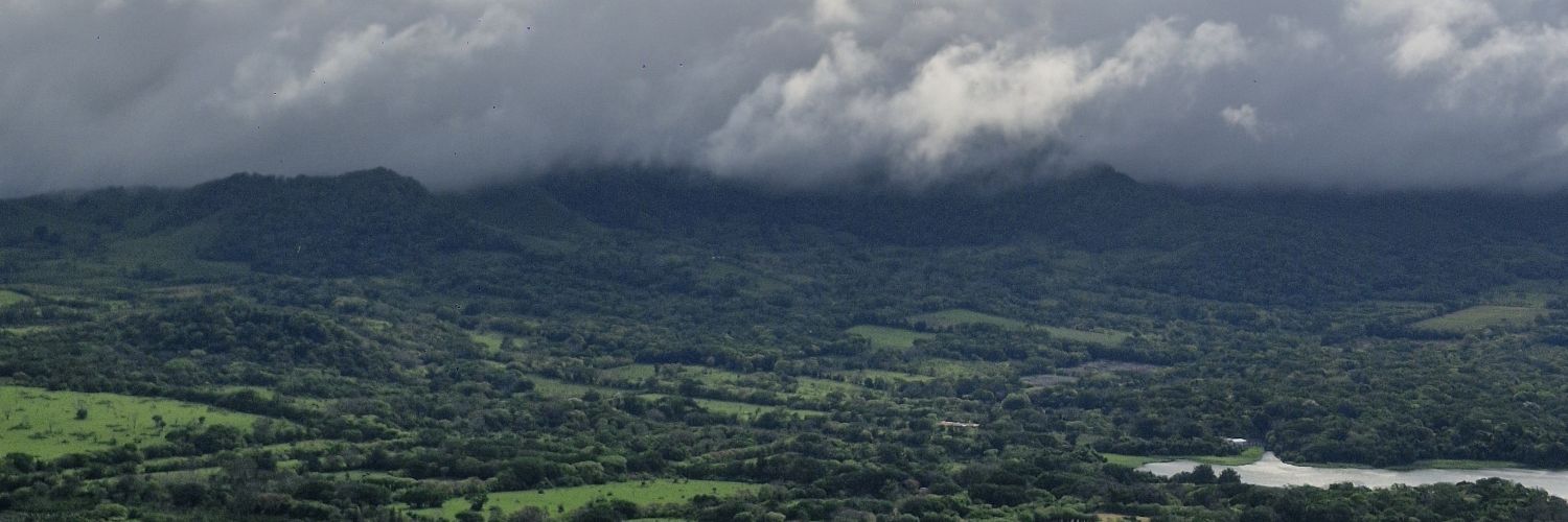 lizf0's profile banner image