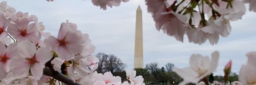 lena_bby's profile banner image