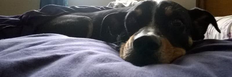 Mariana Toja ❤️💙🤍 / 💛🖤 banner