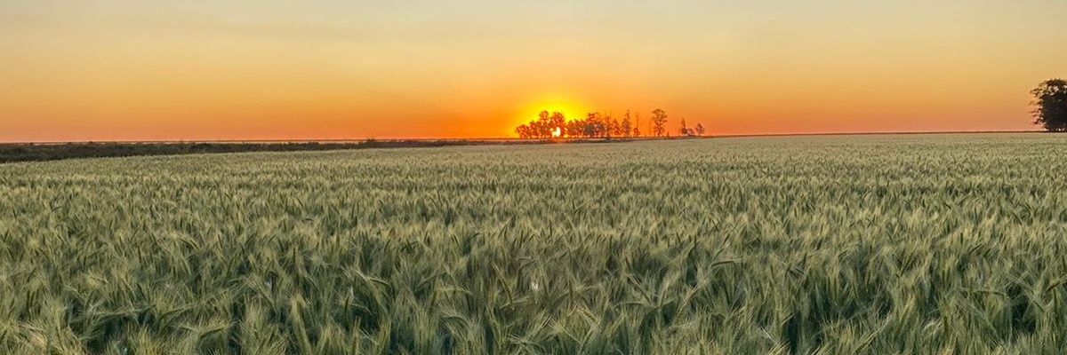 Fito_Klacka's profile banner image